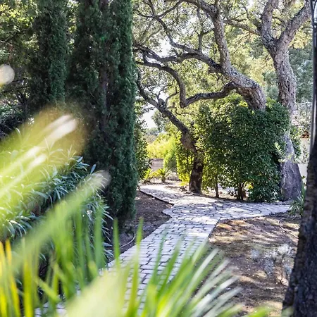 Reninca - Cote D'azur Villa Saint-Tropez