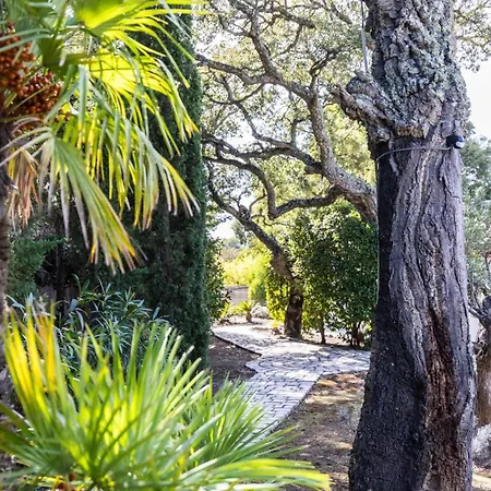 Reninca - Cote D'azur Saint-Tropez