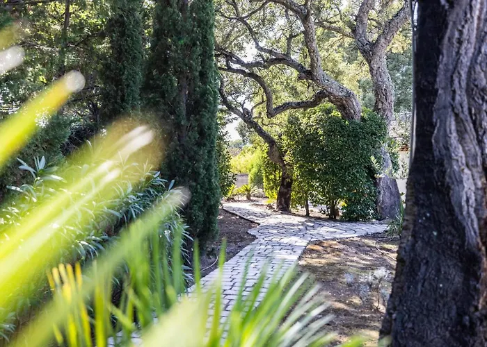 Reninca - Cote D'azur Villa Saint-Tropez