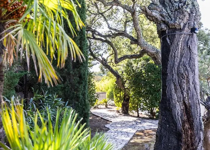 Reninca - Cote D'azur Saint-Tropez